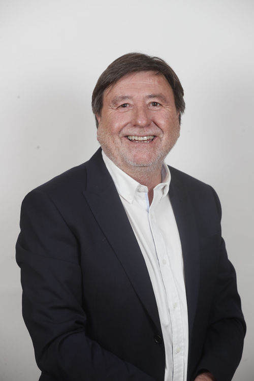Ricardo Cifuentes Lillo